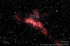 IC1318