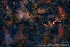 IC 1396 mit Elefantenrüsselnebel