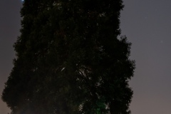 DSC04524